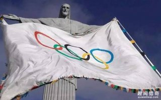 惊！300匹奥运赛马是怎么运到里约的？