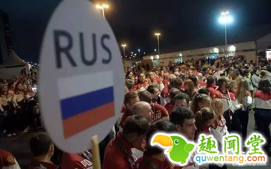 300匹奥运赛马是怎么运到里约的？坐商务舱！