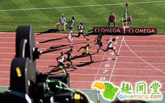 300匹奥运赛马是怎么运到里约的？坐商务舱！