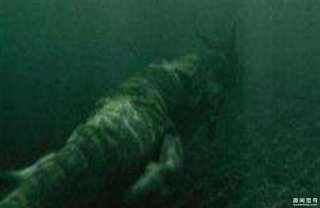 青海湖湖底惊现12米巨型真龙，真龙图片曝
