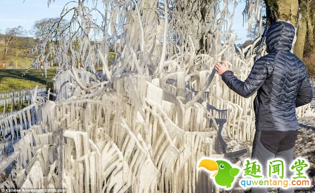 资料图：受风暴“埃莉诺”影响，英国多地大雪降温，气温达到零下10℃。在苏格兰地区，甚至出现了冰冻植物的景观。