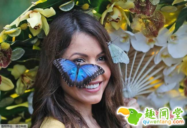 英国皇家花园举办蝴蝶展 美女“招蜂引蝶”(组图)