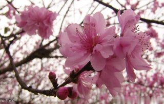 人生，要记得包容5个人！