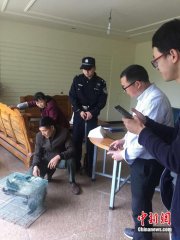 小獾猪闯入居民家偷吃 当地警察：已对它